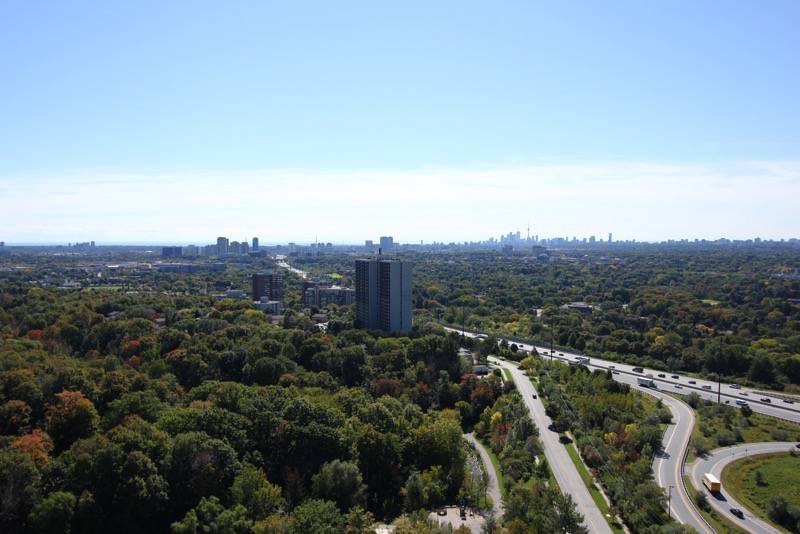 The Ravine in Toronto — rendering 13