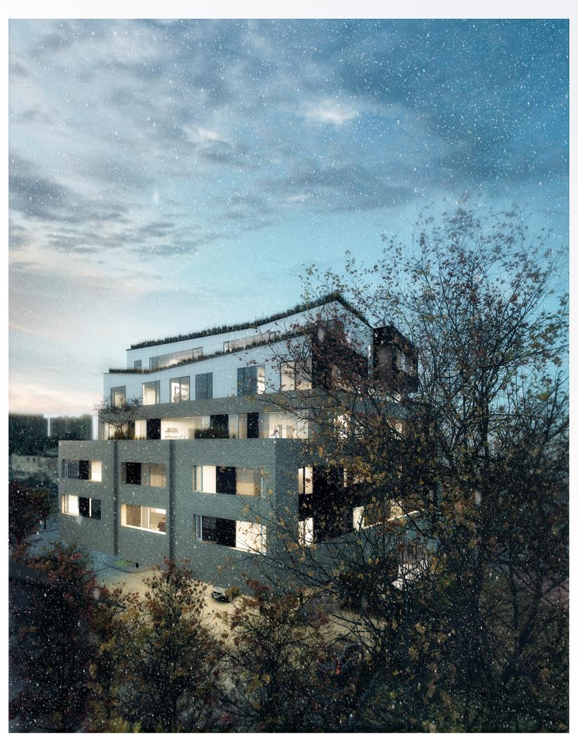 Danforth Park in Toronto — rendering 2