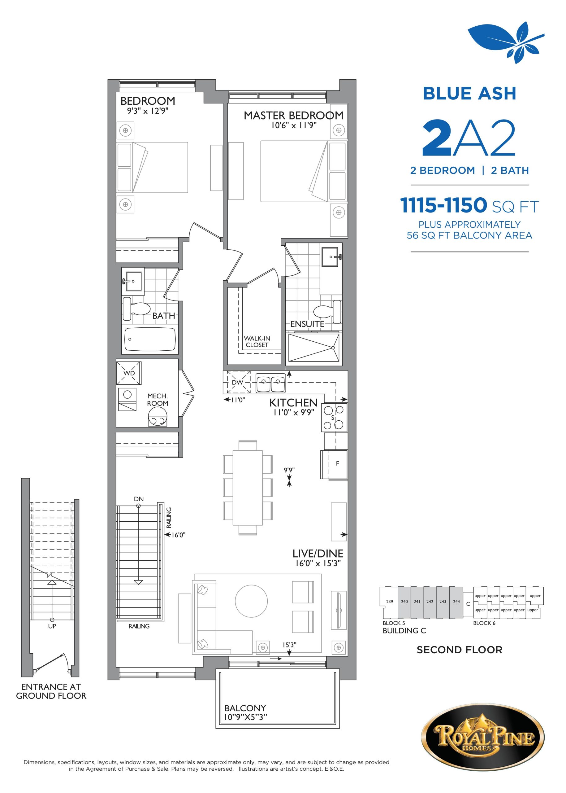 Blue Ash - 2A2 floor plan