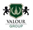 Valour Group logo