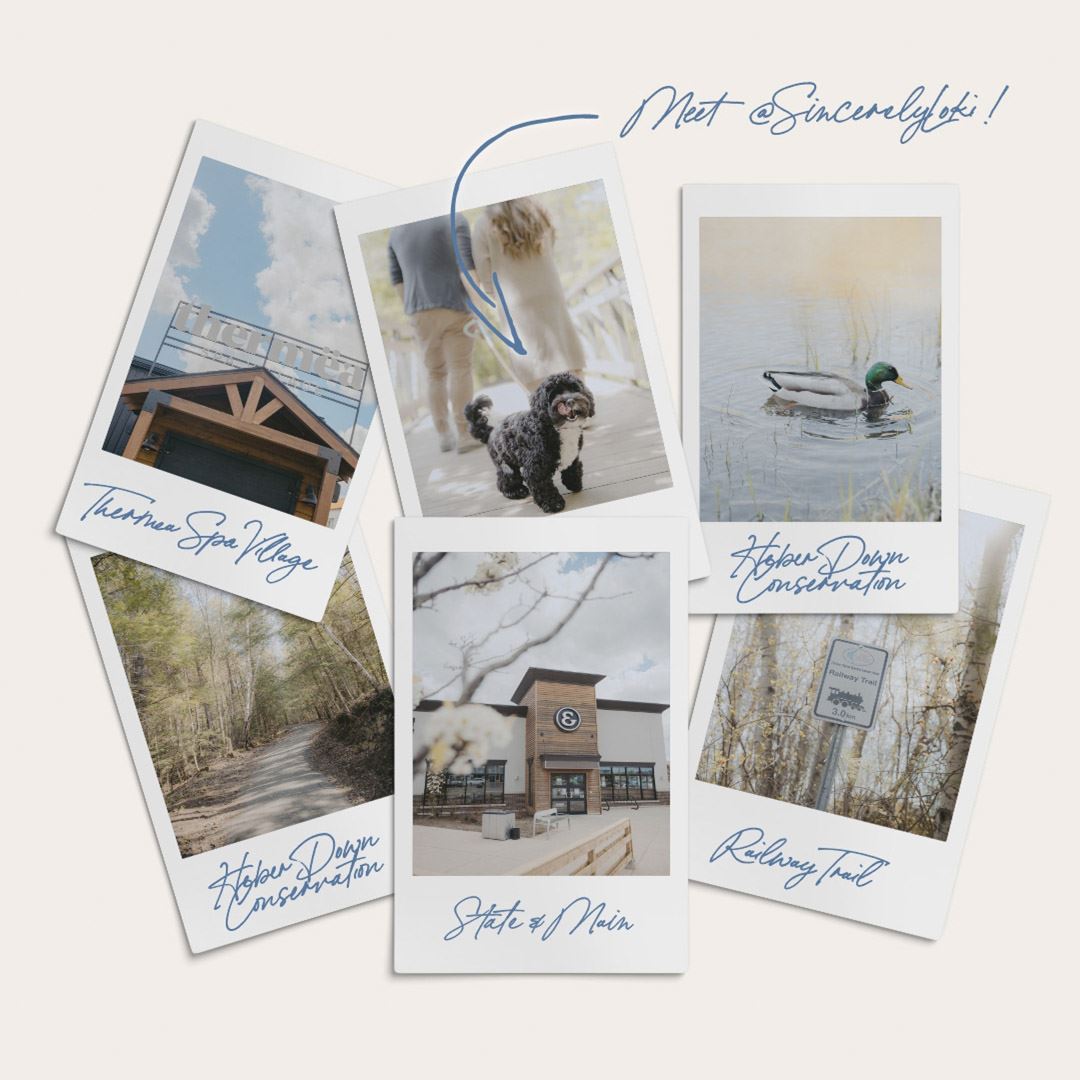 Sincerely, Acorn in Whitby — rendering 6