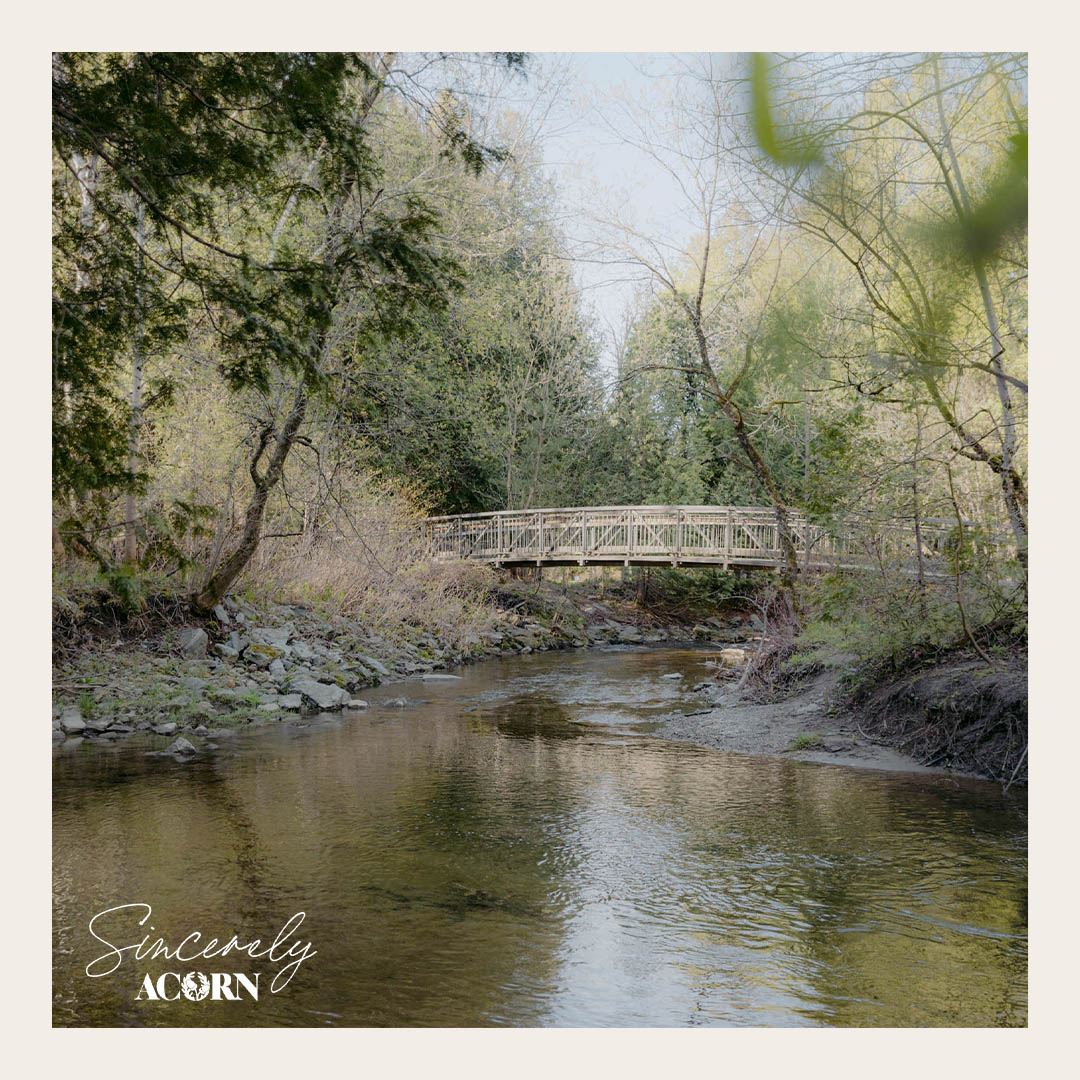 Sincerely, Acorn in Whitby — rendering 9