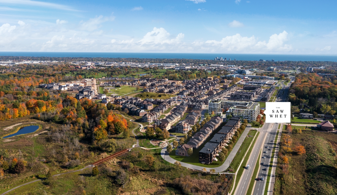 The Saw Whet — Oakville