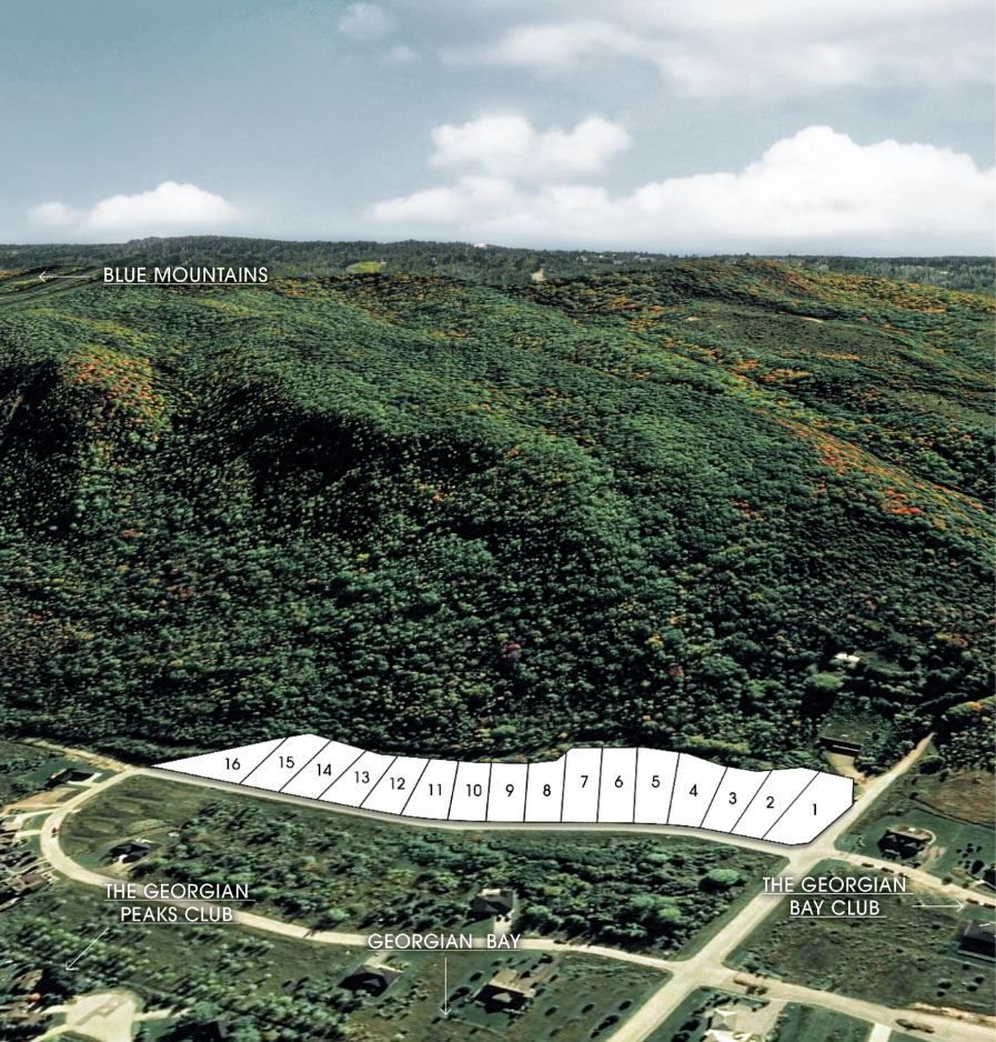 The Summit — rendering 11