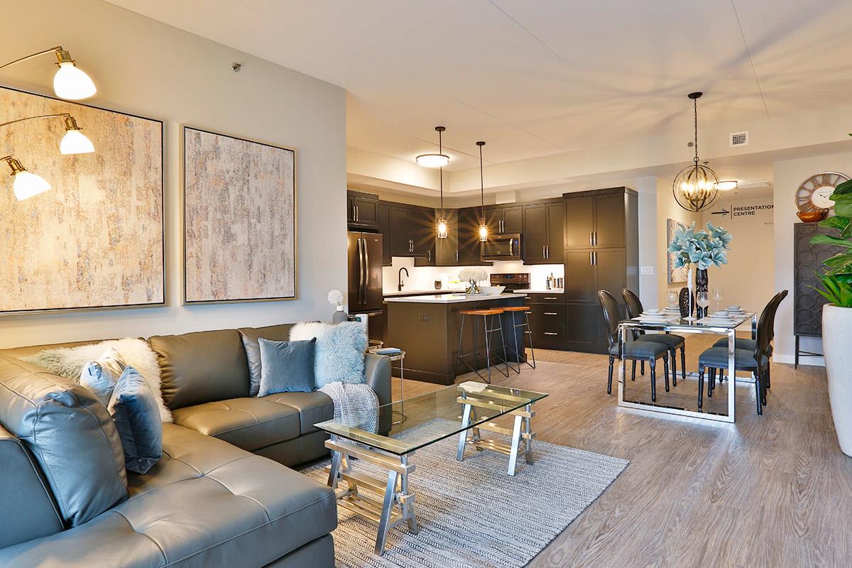 The Rise in Winnipeg — rendering 8