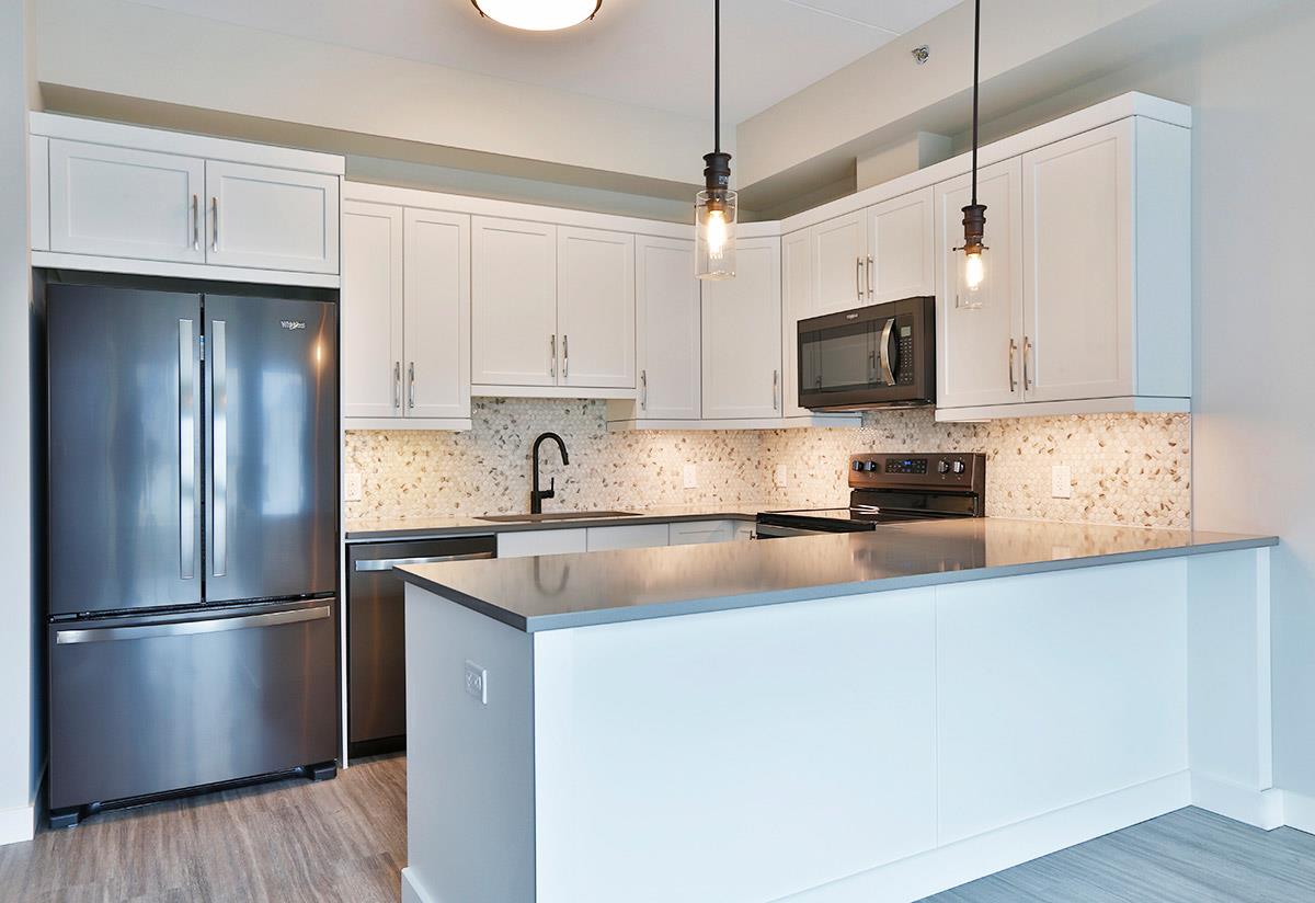 The Rise in Winnipeg — rendering 16
