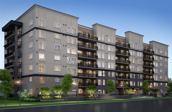 The Rise in Winnipeg — rendering 4