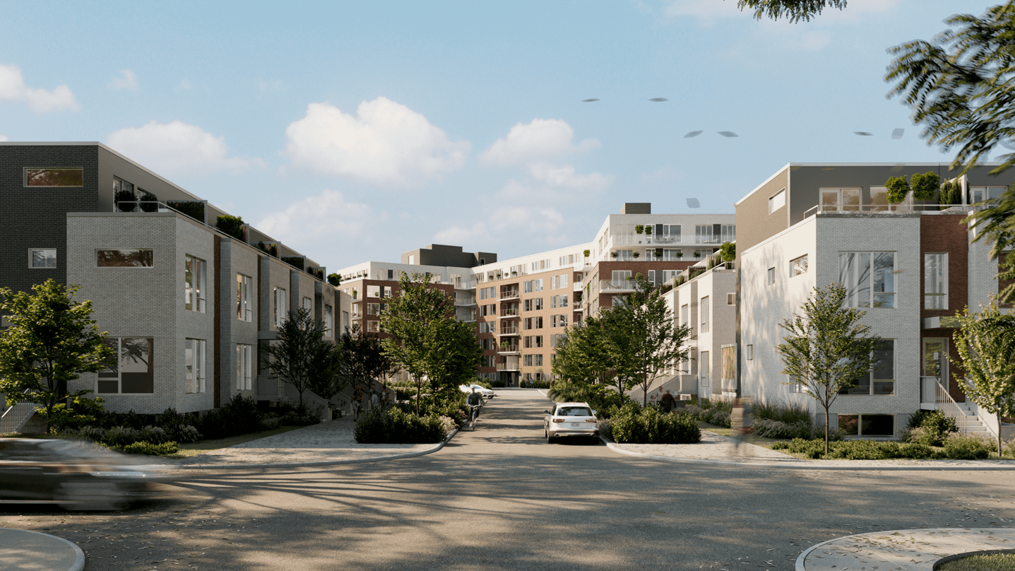 Dalia Condos — Montréal