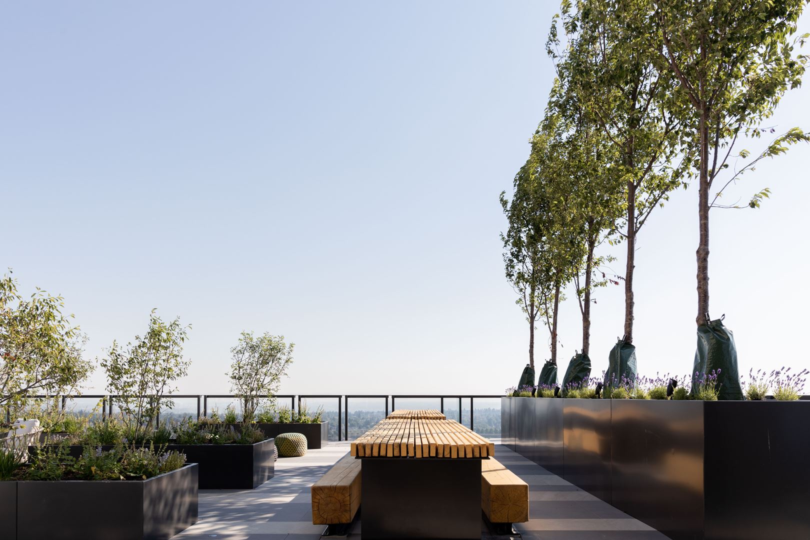 Joyce Condos in Vancouver — rendering 5