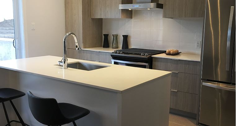 Vida LaSalle in Montréal — rendering 8