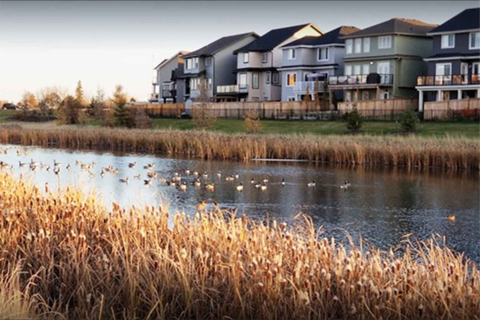 Glenridding Townhomes in Edmonton — rendering 4