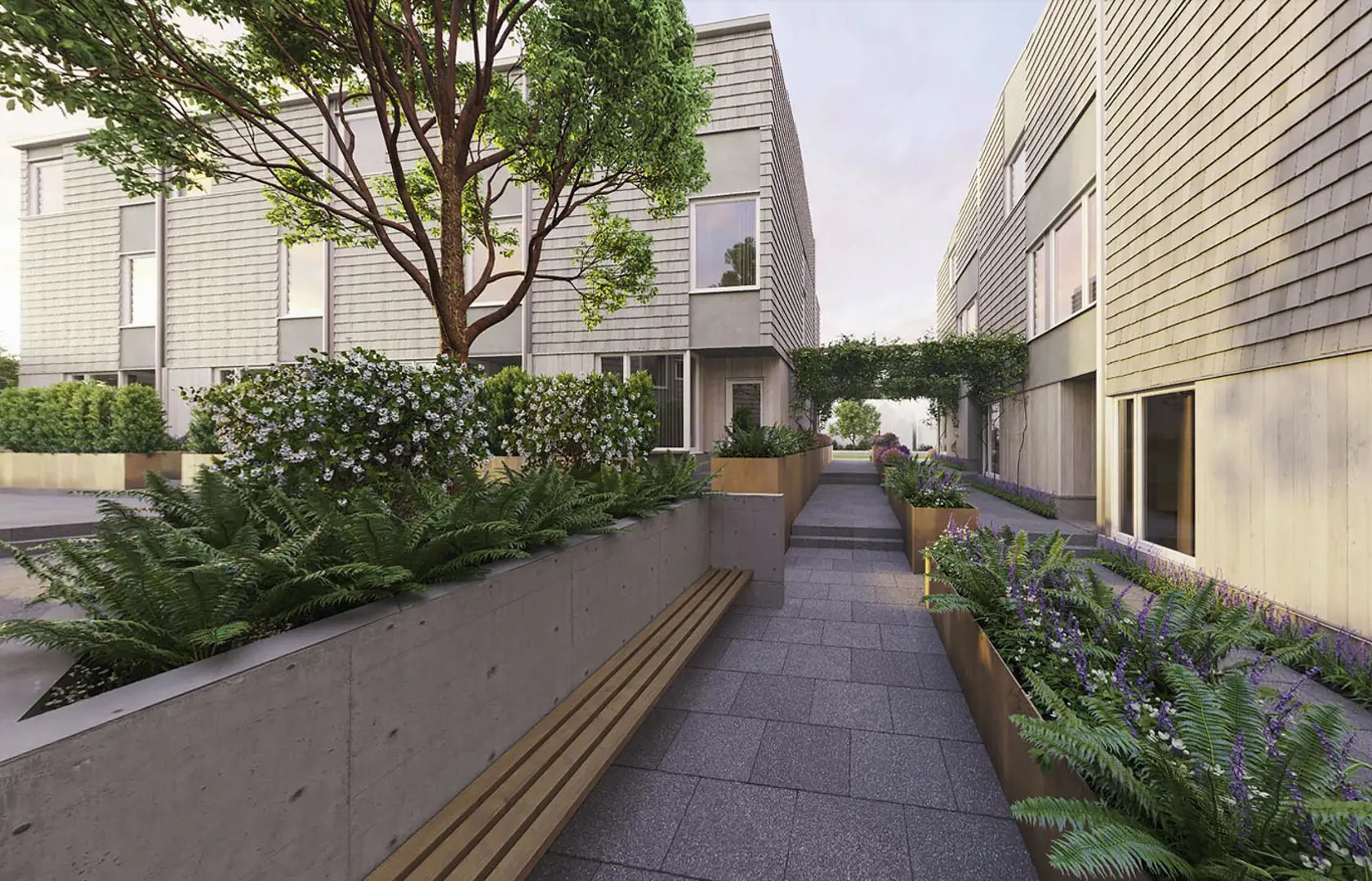 Rhodo Towns in Victoria — rendering 3