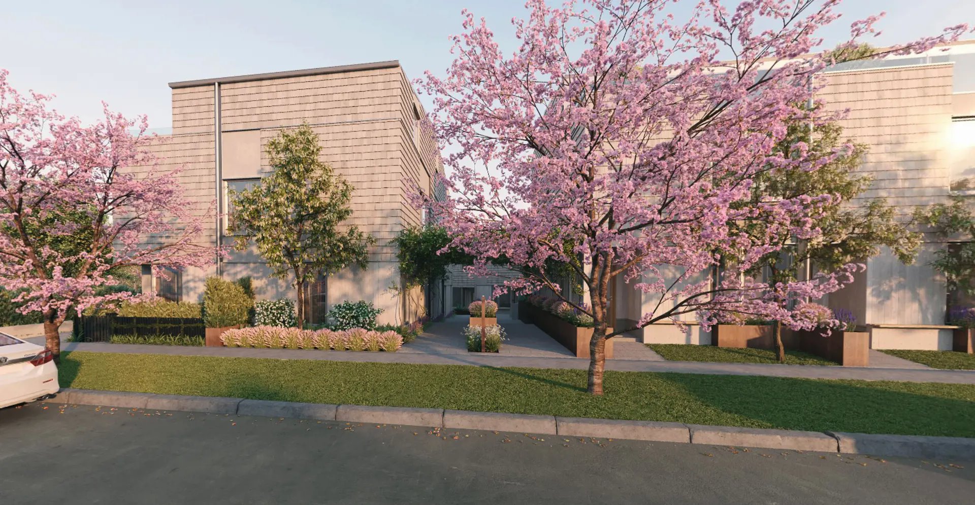 Rhodo Towns in Victoria — rendering 2