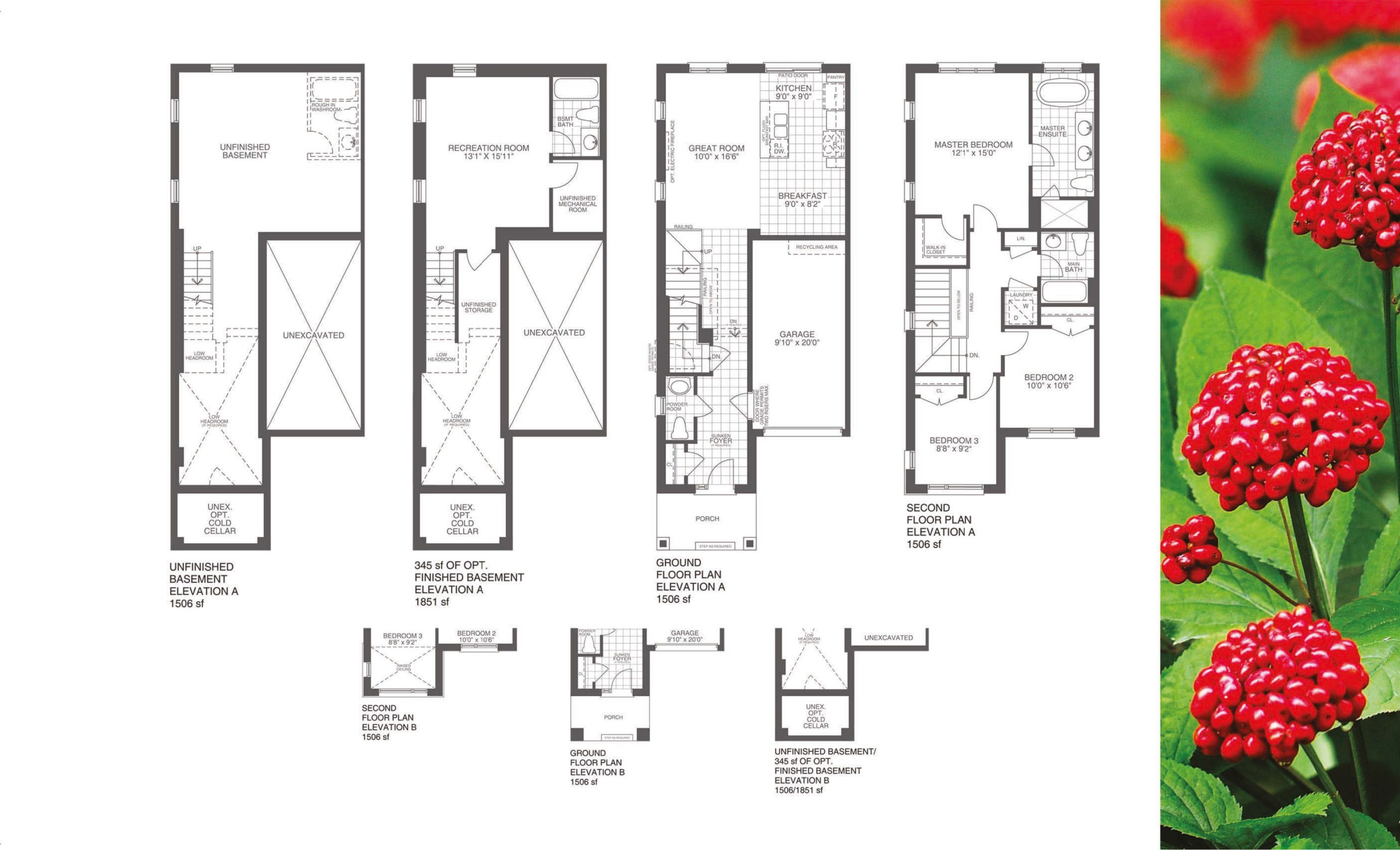 The Ginseng floor plan