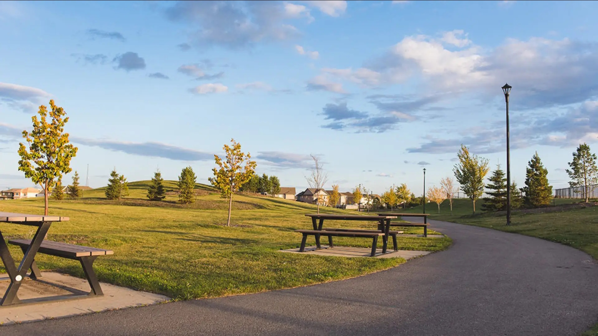 Cy Becker in Edmonton — rendering 17