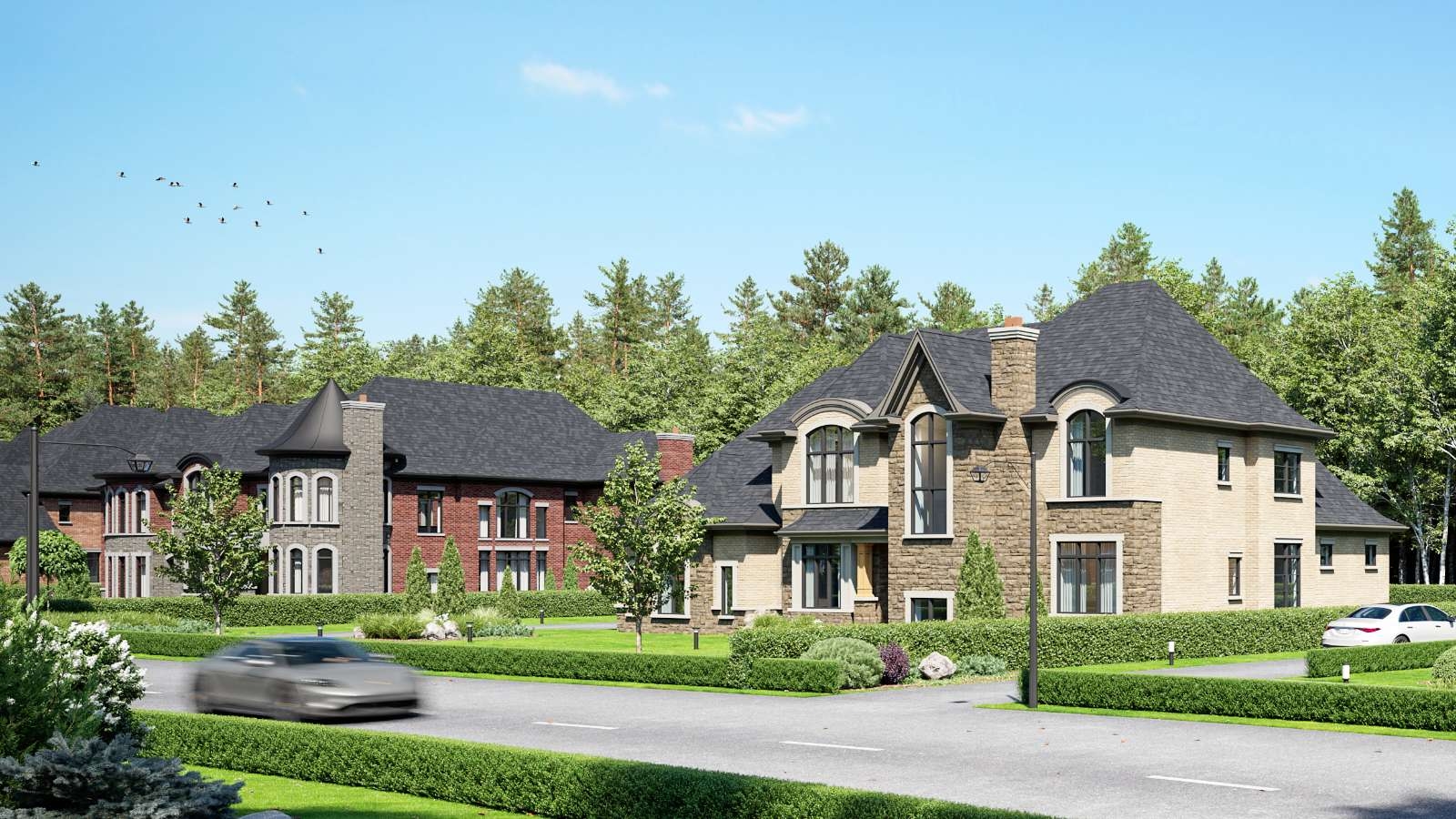 Lively Estates in Loretto — rendering 5