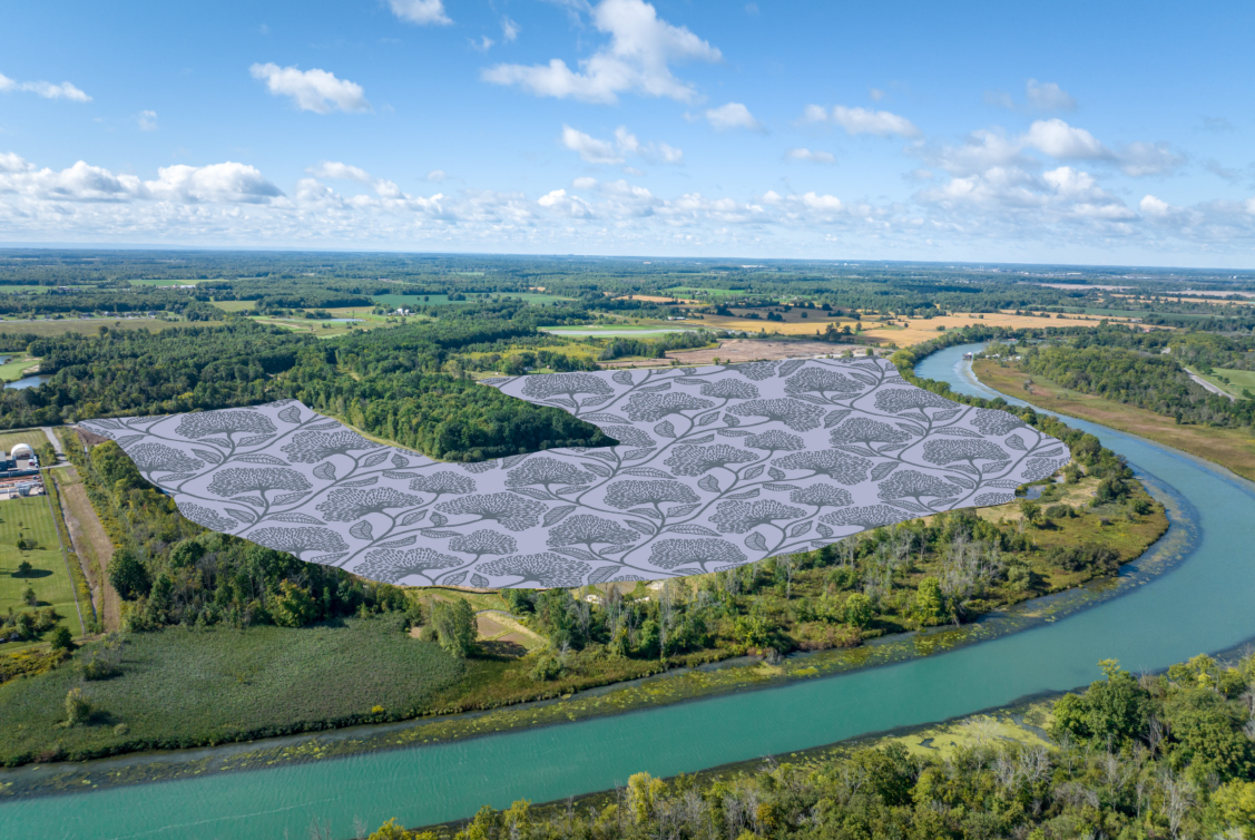 Wellwood — pre-construction