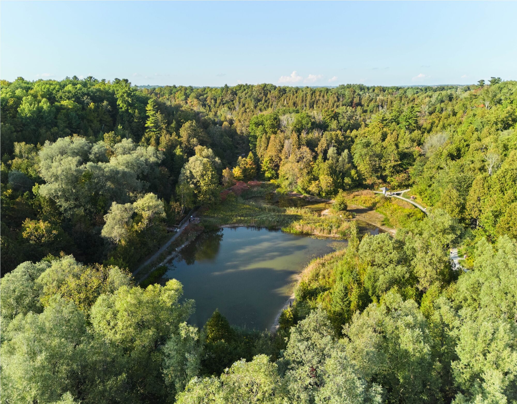 Ashburn Hills in Whitby — rendering 6