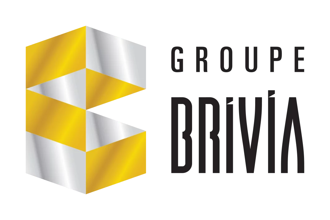 Brivia Group logo