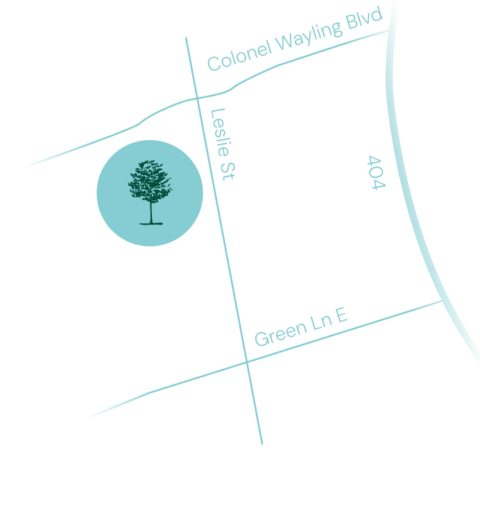 Walnut Creek by Acorn in East Gwillimbury — rendering 2